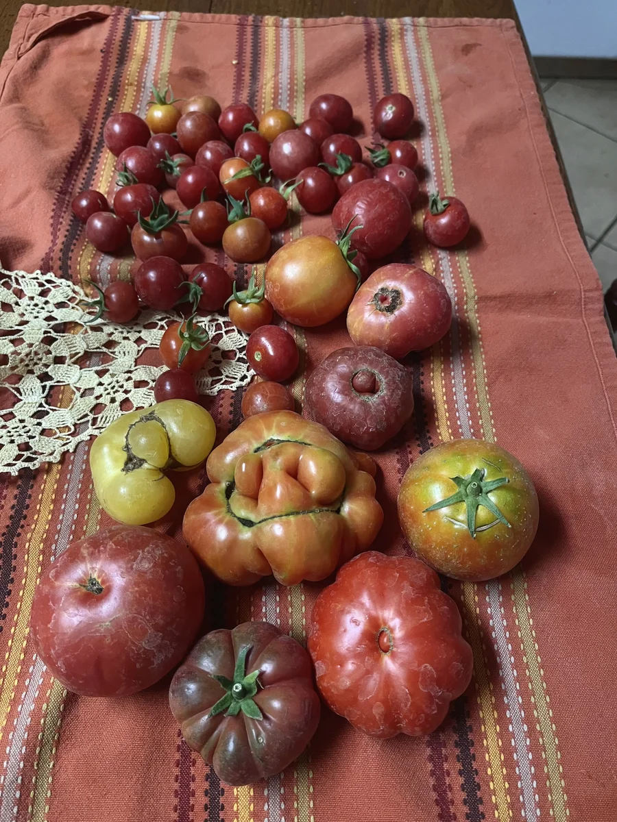 Amazing Heirlooms