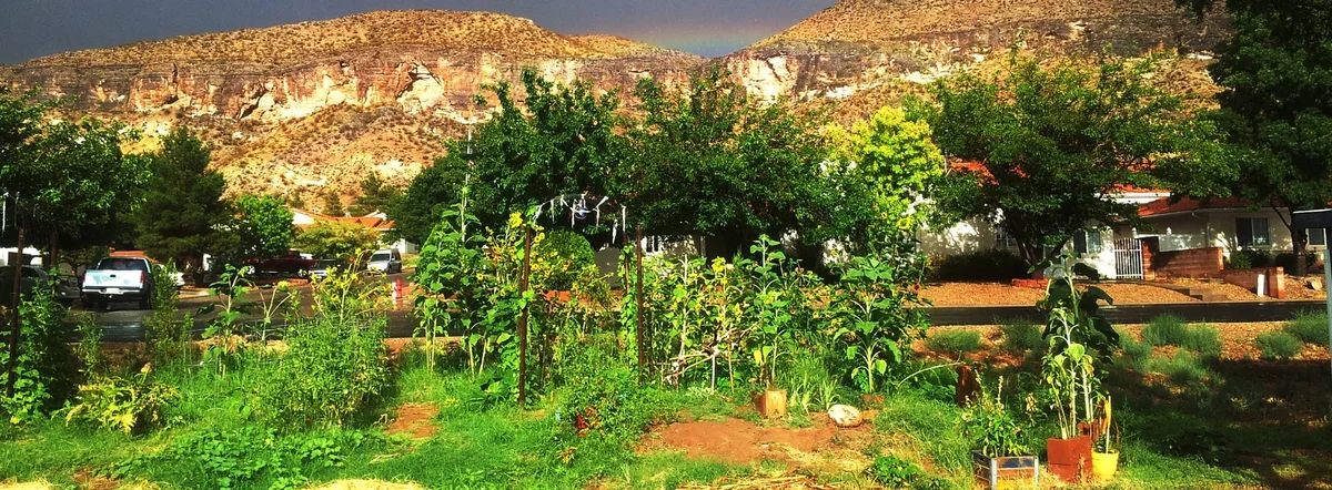 Rainbow over Charlotte's garden with sunflowers, framed by the Colorado City cliffs